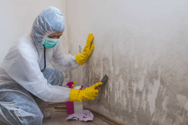 Water Damage Restoration in Punxsutawney, PA