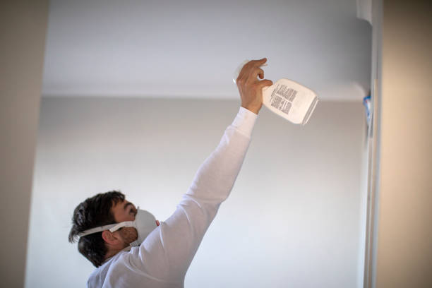 Best Certified Mold Removal  in Punxsutawney, PA