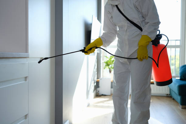 Best Mold Testing and Removal  in Punxsutawney, PA